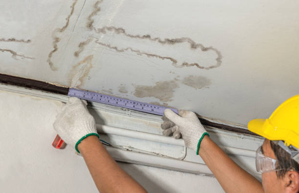 Reliable Basement Water Removal contractor in New Martinsville, WV by Water Damage Irwin